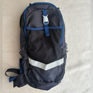 Embark Black and Blue Men's Backpack